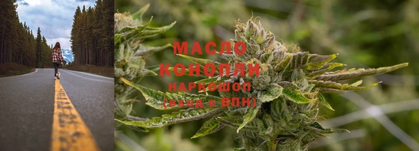 шишки Белокуриха