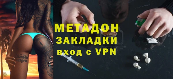 шишки Белокуриха