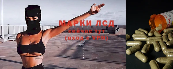 шишки Белокуриха