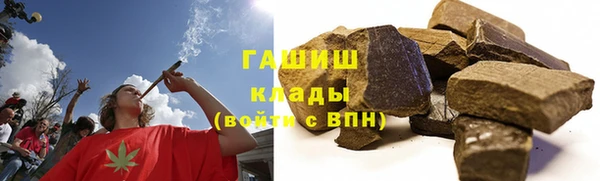 шишки Белокуриха
