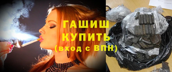 шишки Белокуриха
