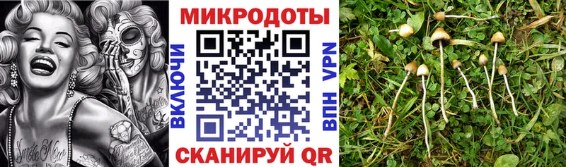 Галлюциногенные грибы ЛСД  Малая Вишера 